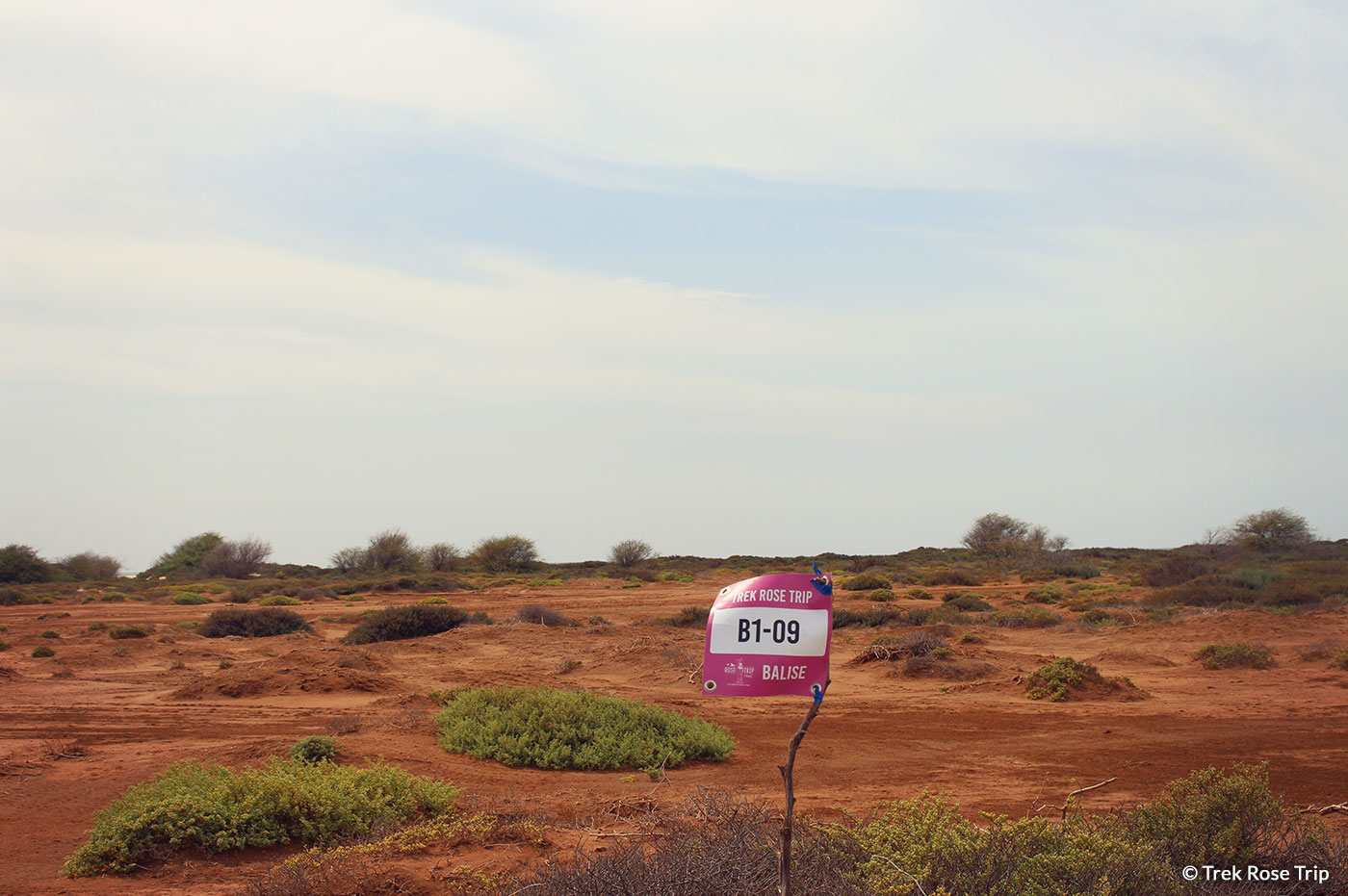 Santa Monica praia magicà | Trek Rose Trip Cap-Vert Boa Vista