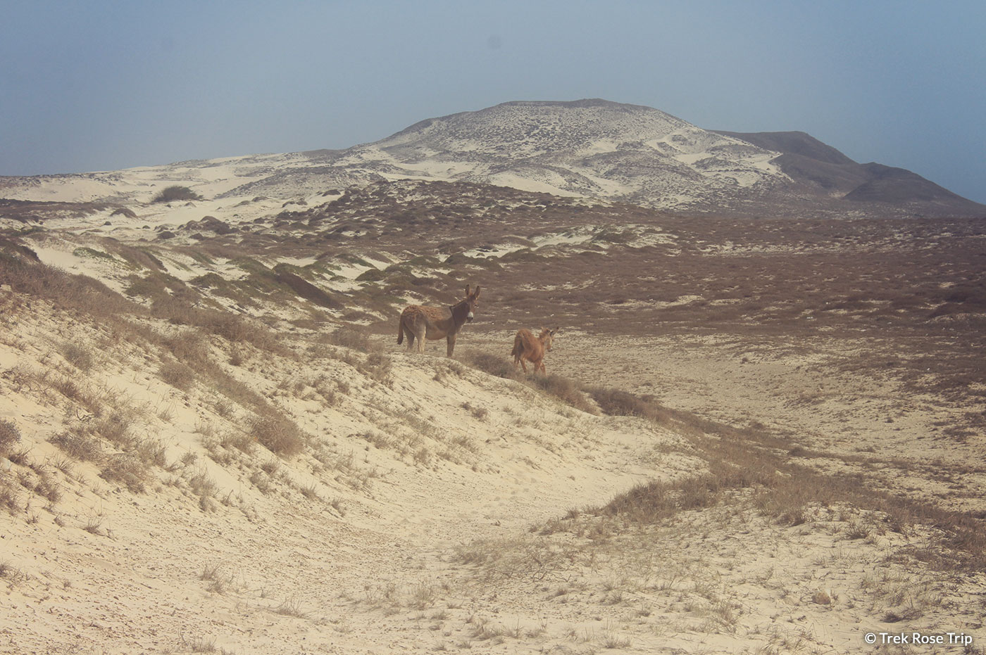 Gravir le Mont Blanc | trek Rose Trip Cap-Vert Boa Vista