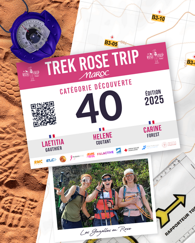 LES GAZELLES EN ROSE