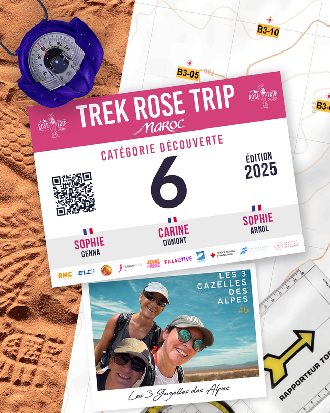 LES 3 GAZELLES DES ALPES