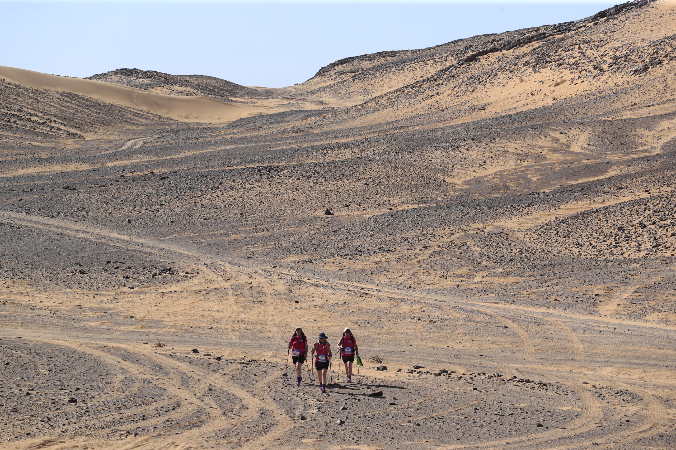 Participantes du Club Entreprises au Rose Trip Maroc 2026