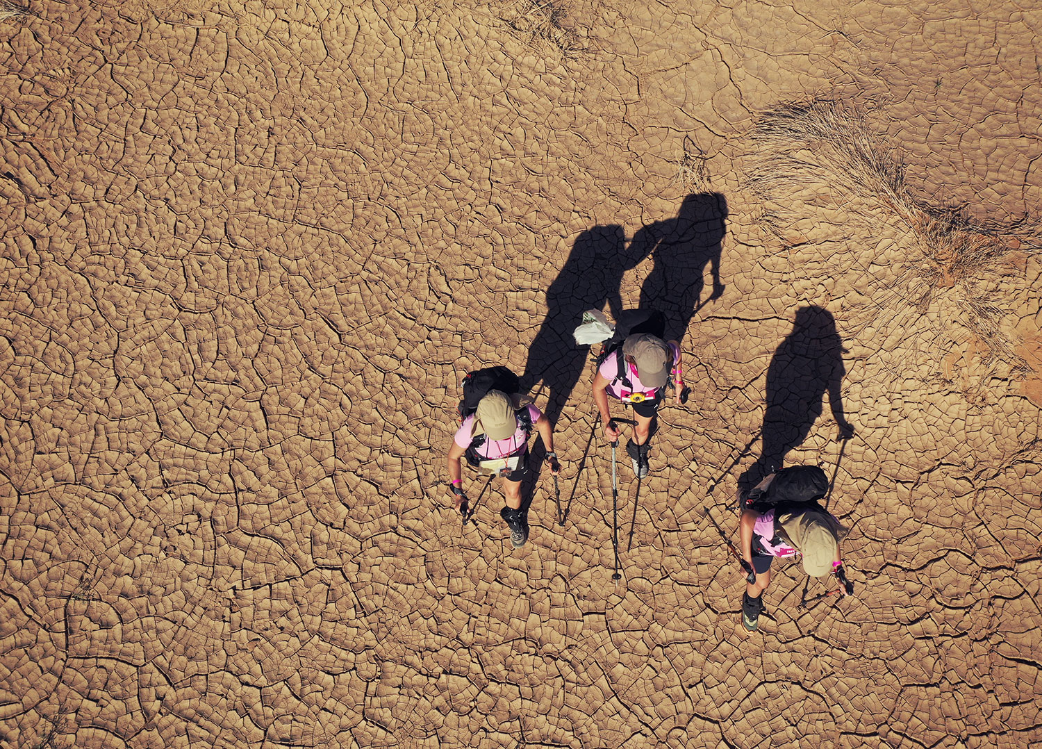 Rose Trip Maroc 2025 - Trek en Direct