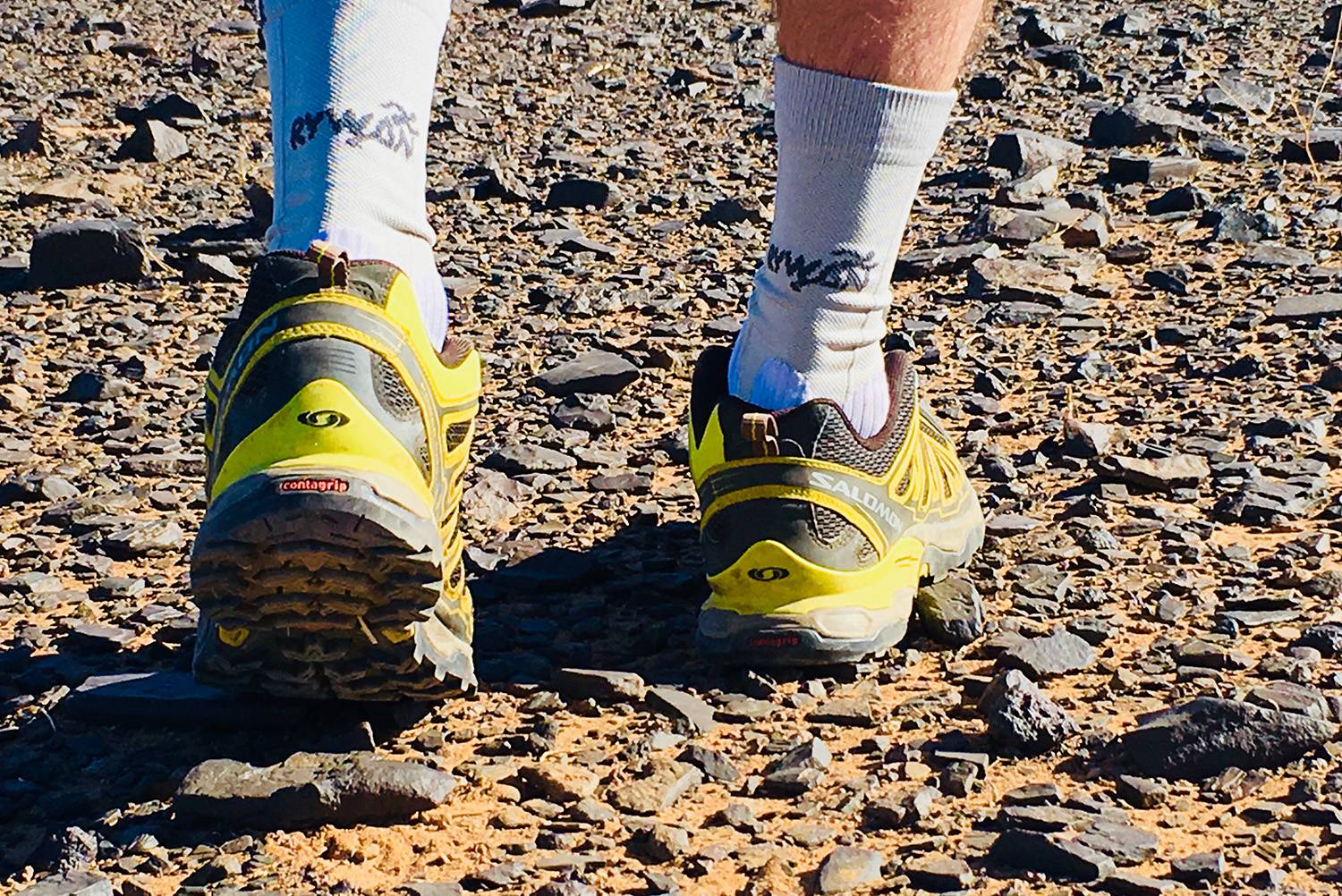 Chaussettes de randonnée ICEBREAKER Hike+ Medium Crew Sedimentary